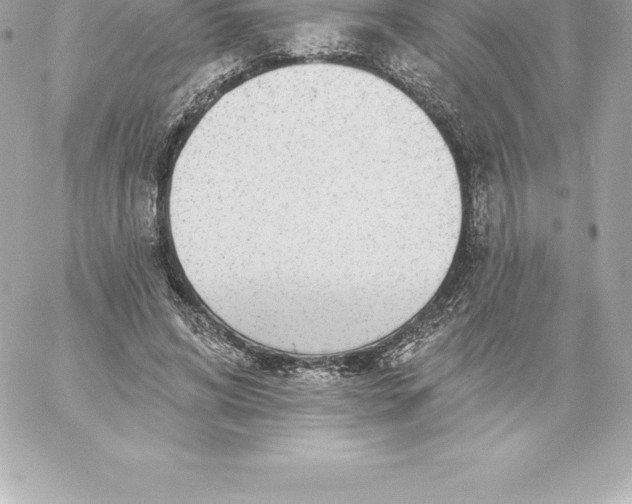 X0000060240592200511111931