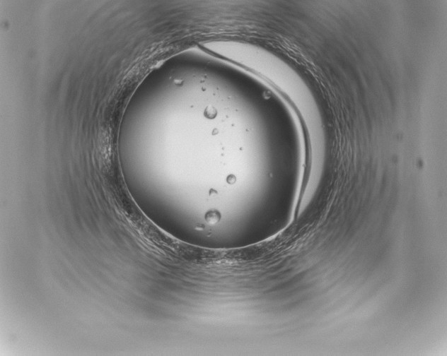 X0000060240593200511111931