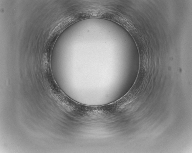 X0000060240594200511111931