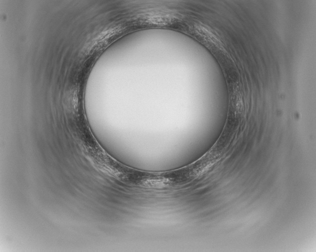 X0000060240595200511111931