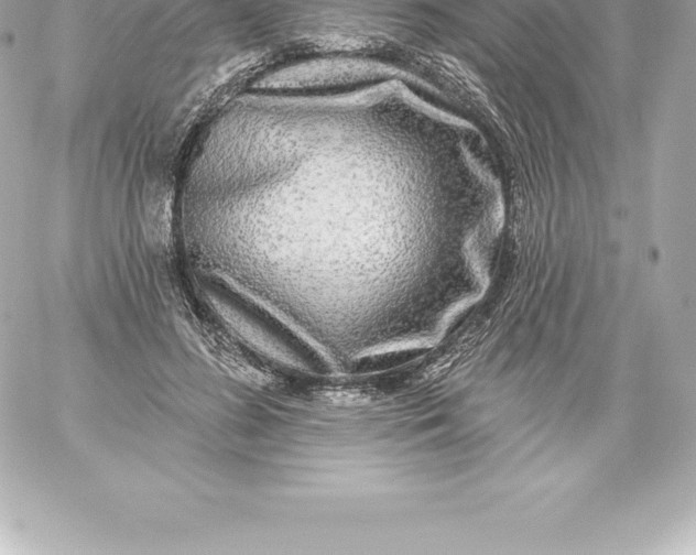 X0000060240596200511111931