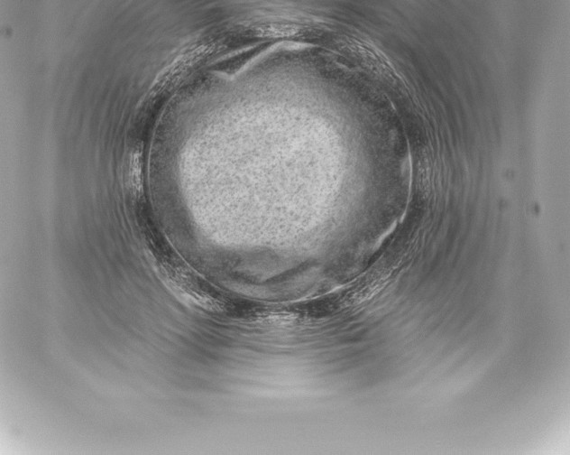 X0000060240598200511111931