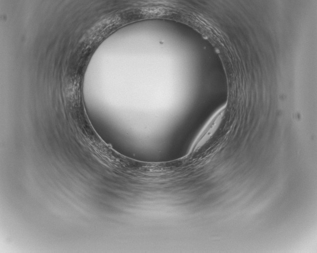 X0000060240601200511111931