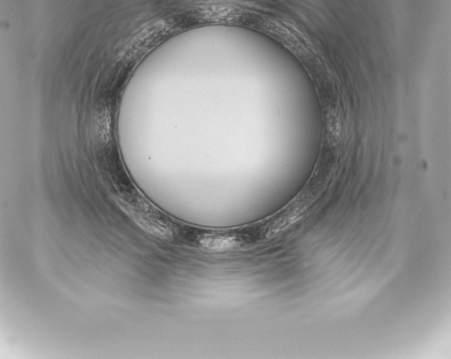 X0000060240602200511111931