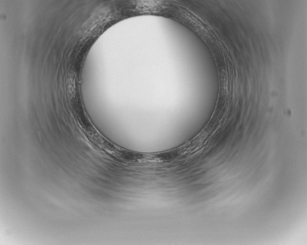 X0000060240603200511111931