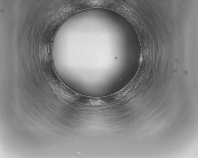 X0000060240605200511111931