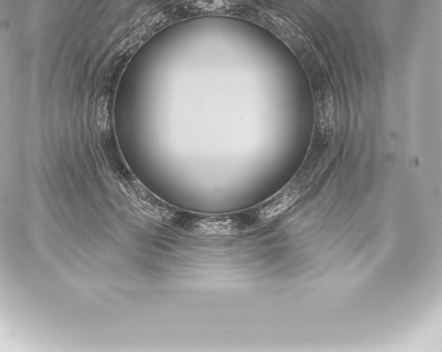 X0000060240606200511111931