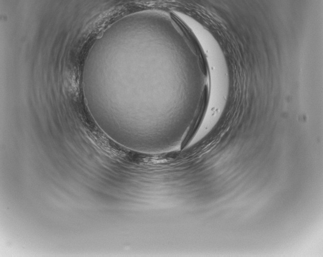 X0000060240607200511111931