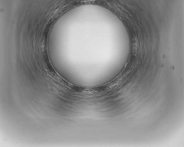 X0000060240608200511111931