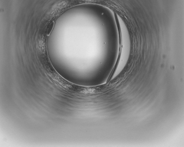 X0000060240609200511111931