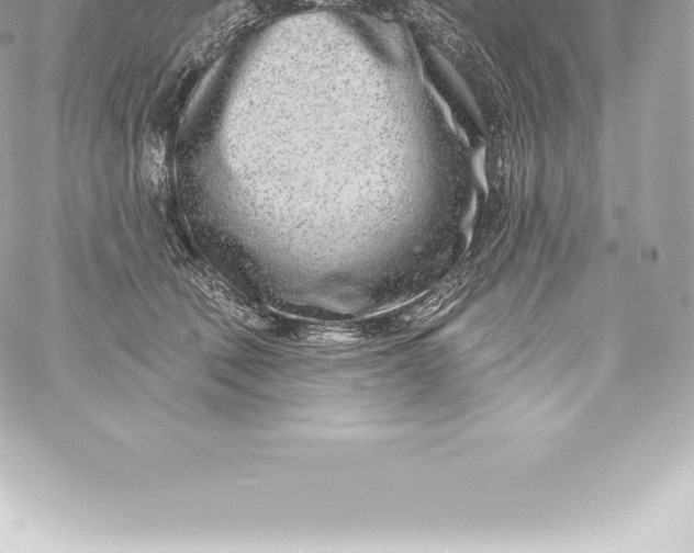 X0000060240610200511111931