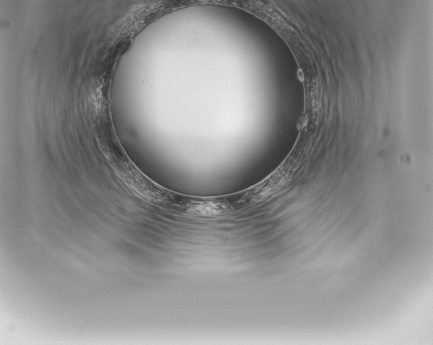 X0000060240611200511111931