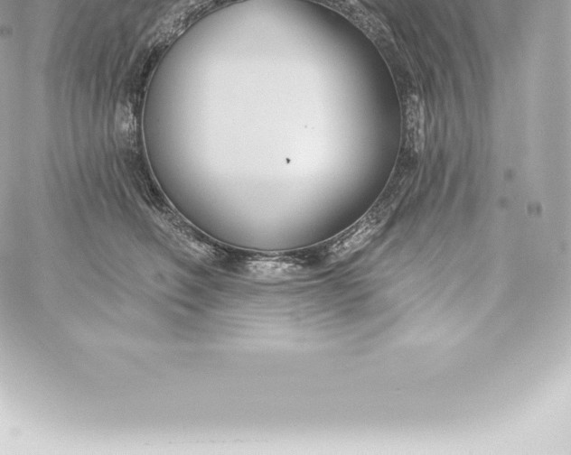 X0000060240614200511111931