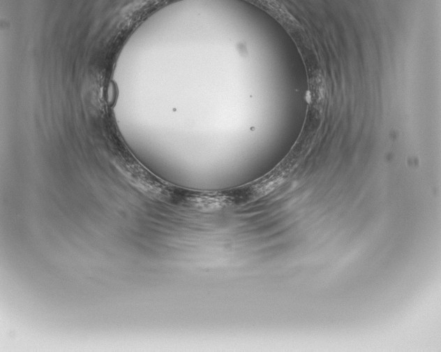 X0000060240615200511111931