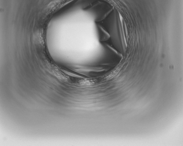 X0000060240616200511111931