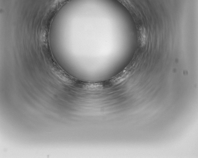 X0000060240619200511111931