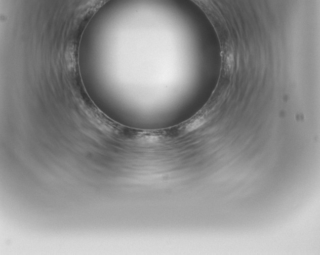 X0000060240620200511111931