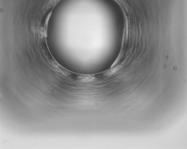 X0000060240621200511111931