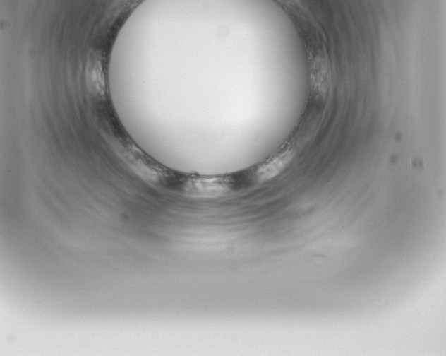 X0000060240622200511111931