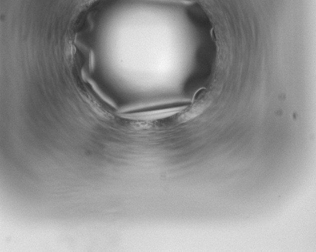 X0000060240624200511111931