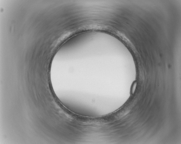 X0000060240625200511111930