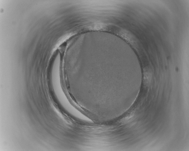 X0000060240626200511111930