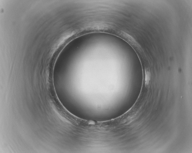 X0000060240627200511111930