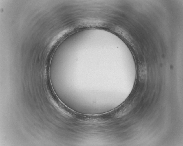 X0000060240629200511111930