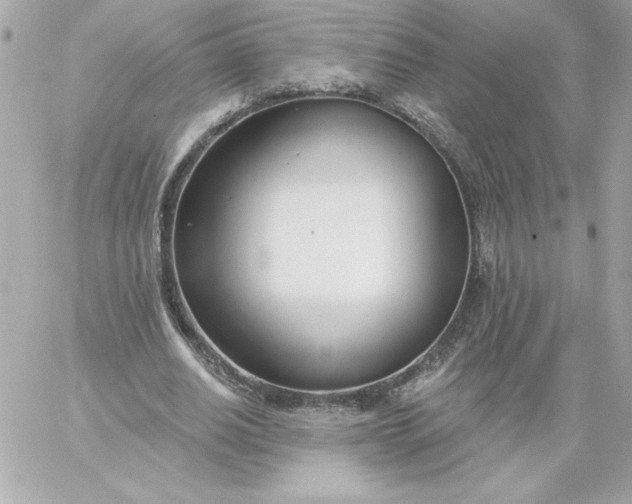 X0000060240630200511111930