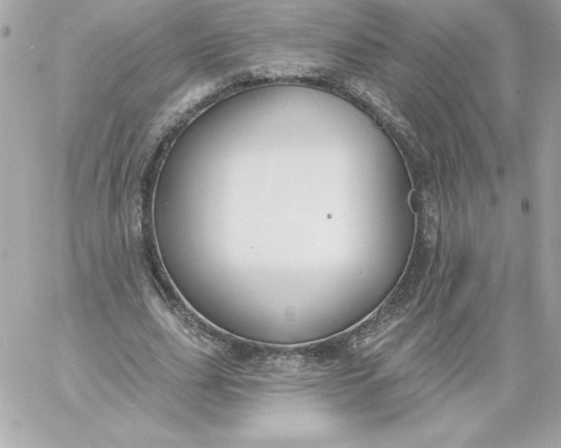 X0000060240631200511111930