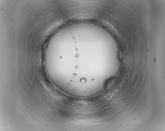 X0000060240635200511111930