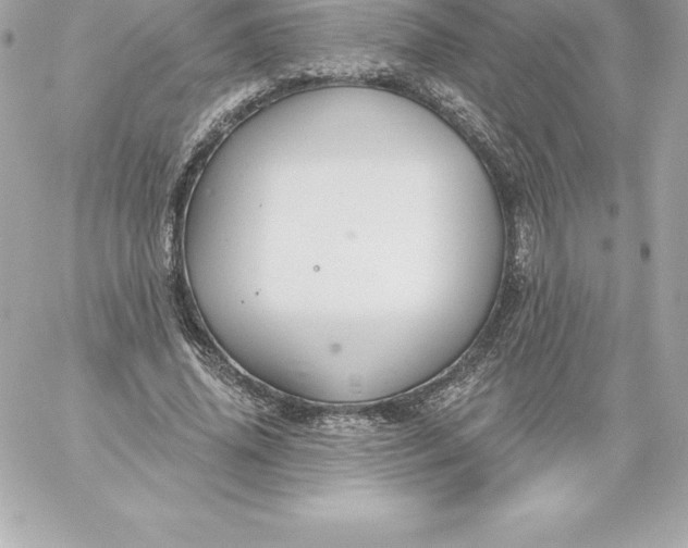 X0000060240636200511111930