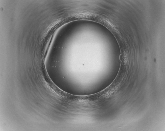 X0000060240637200511111930