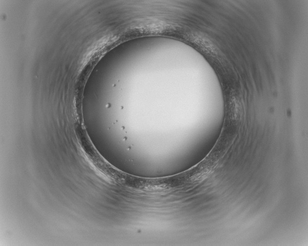 X0000060240638200511111930