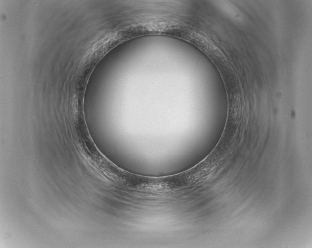 X0000060240639200511111930