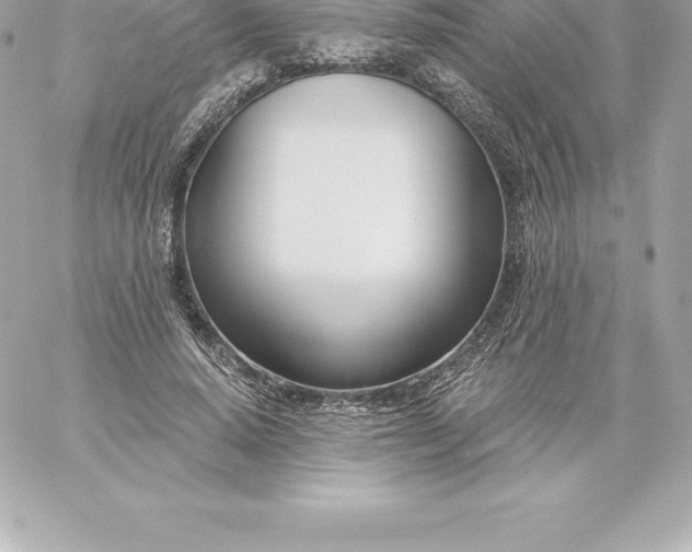 X0000060240640200511111930