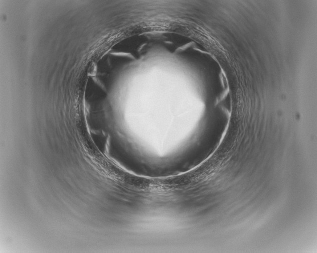 X0000060240641200511111930