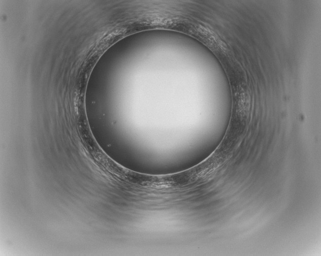 X0000060240643200511111930