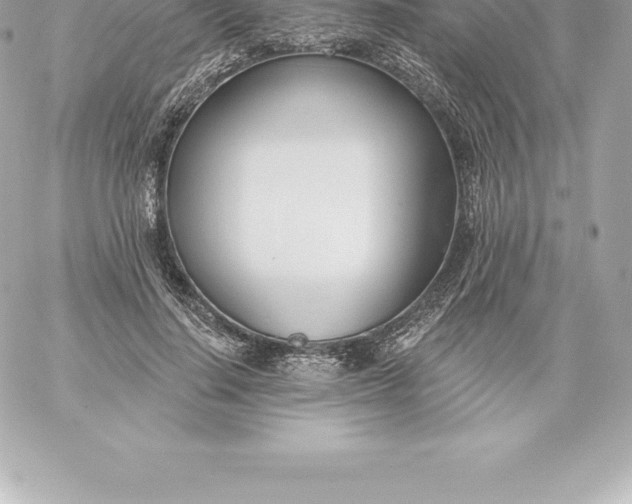 X0000060240644200511111930