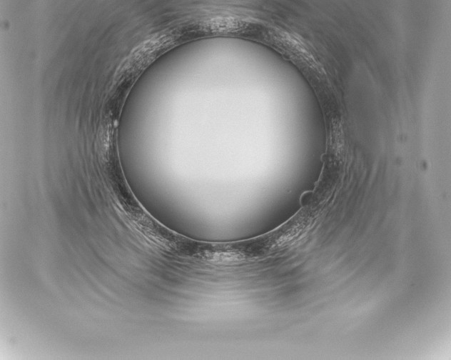 X0000060240645200511111930