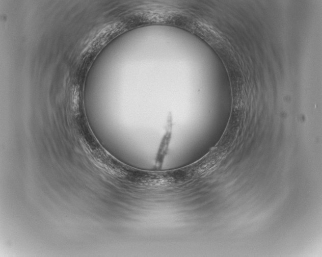 X0000060240646200511111930