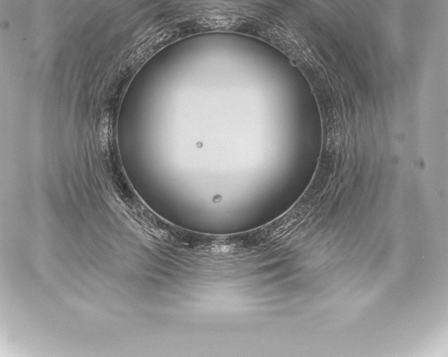 X0000060240647200511111930