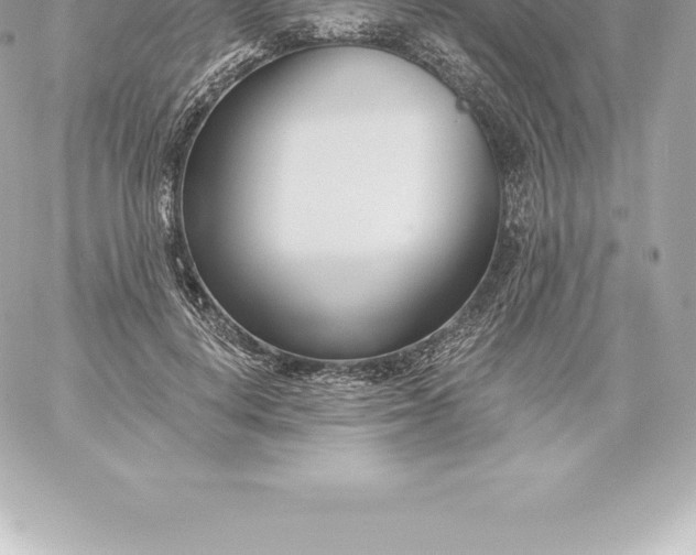 X0000060240648200511111930