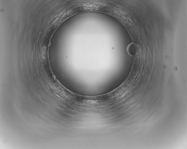 X0000060240649200511111930