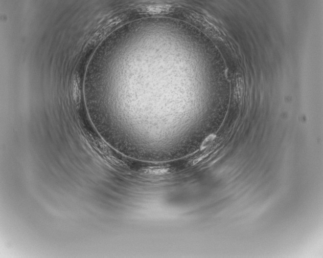 X0000060240651200511111930