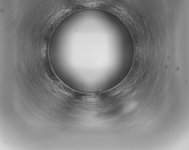 X0000060240652200511111930