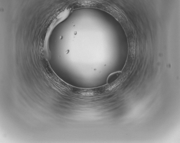 X0000060240653200511111930