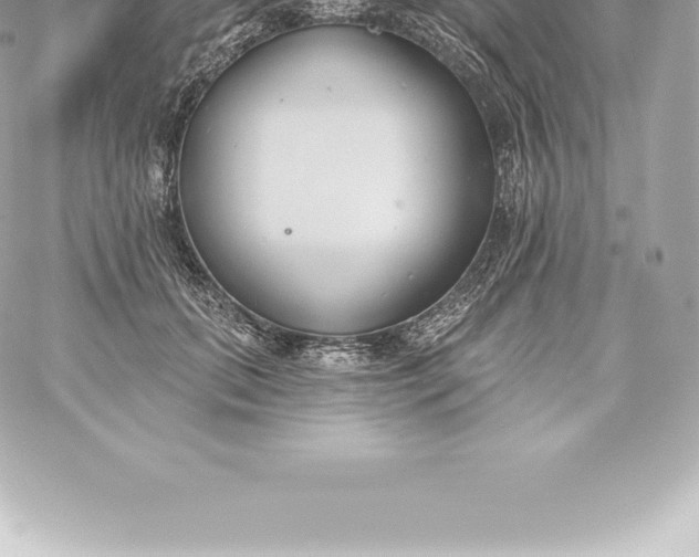 X0000060240655200511111931