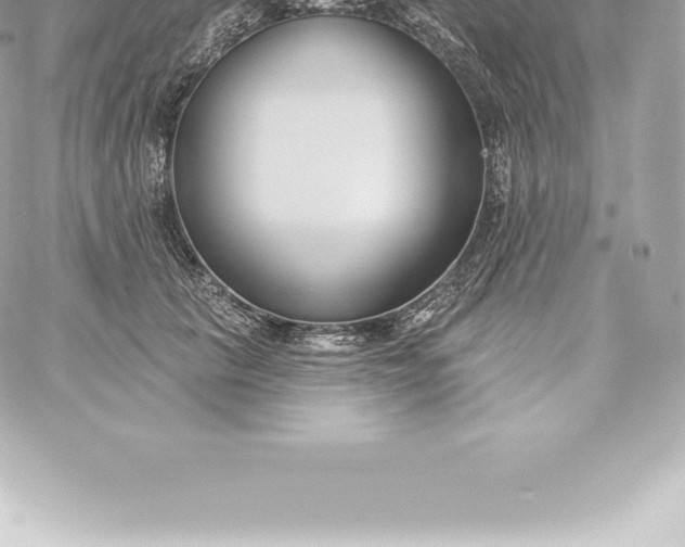 X0000060240657200511111931