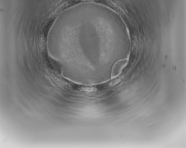 X0000060240659200511111931